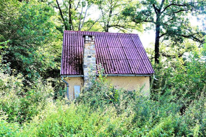 Prodej chaty, Kamenný Újezd - Rančice, 50 m2