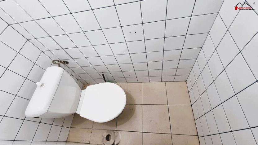 Prodej rodinného domu, Břeclav, Riegrova, 165 m2