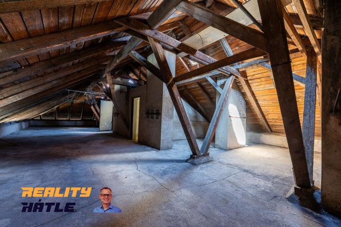 Prodej ubytování, Osečná - Druzcov, 510 m2