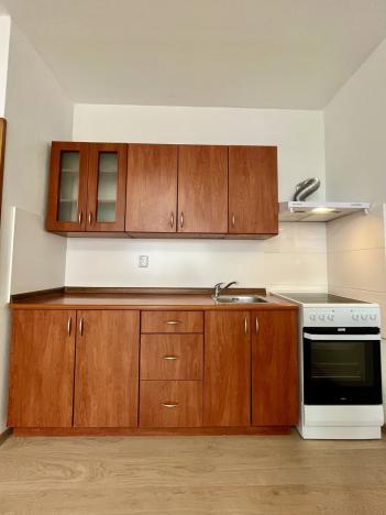 Pronájem bytu 1+kk, Havířov - Šumbark, Střední, 30 m2