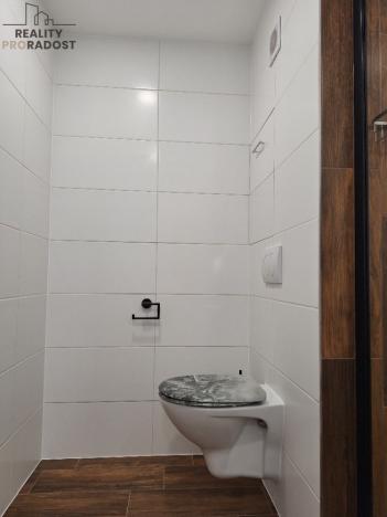Prodej bytu 2+kk, Teplice, Arbesova, 47 m2