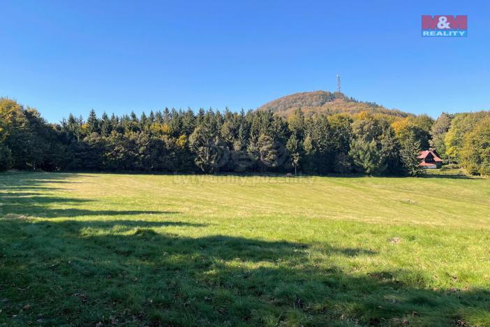 Prodej louky, Jiřetín pod Jedlovou - Rozhled, 15674 m2