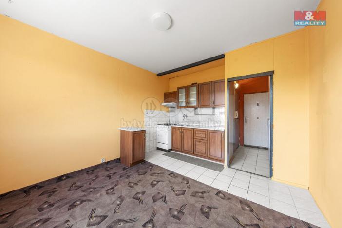 Prodej bytu 1+1, Ústí nad Labem - Neštěmice, Seifertova, 35 m2