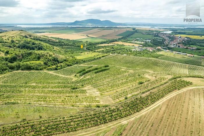 Prodej sadu/vinice, Pouzdřany, 1120 m2