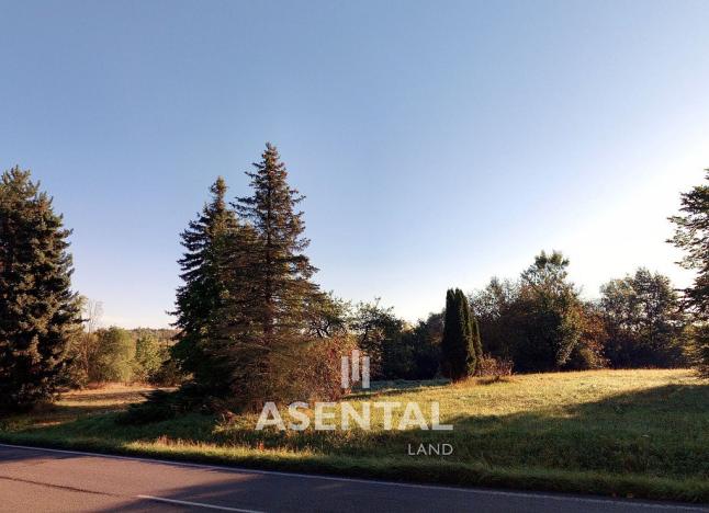 Prodej pozemku, Orlová - Lazy, Lazecká, 4310 m2