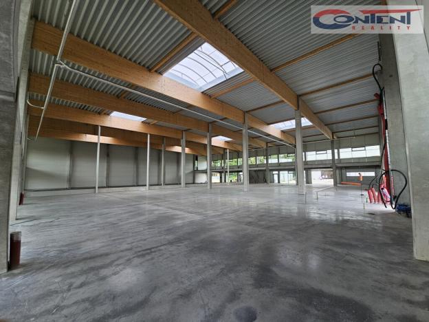 Pronájem výrobních prostor, Ostrava - Hrabová, Krmelínská, 6000 m2