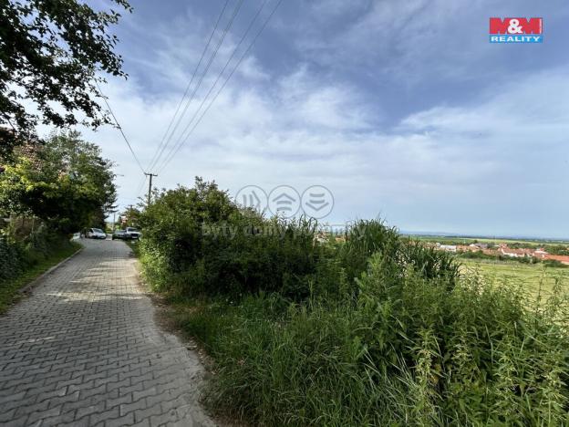 Prodej pozemku pro bydlení, Dětkovice, 3897 m2