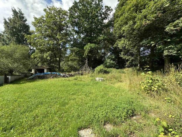 Prodej podílu 1/1 zemědělské usedlosti, Dolní Žandov, 200 m2