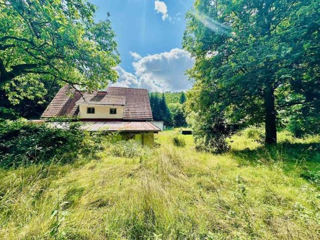 Prodej podílu 1/1 zemědělské usedlosti, Dolní Žandov, 200 m2