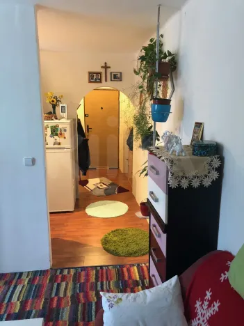 Prodej bytu 1+1, Horní Slavkov, Dlouhá, 34 m2