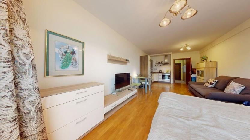 Prodej bytu 1+kk, Karlovy Vary, Jateční, 38 m2