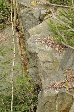 Prodej pozemku, Chodová Planá, 19816 m2
