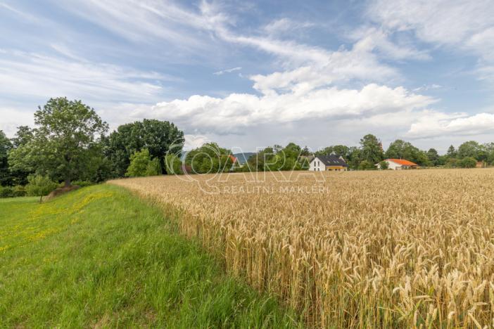 Prodej pozemku pro bydlení, Vražné, 4254 m2