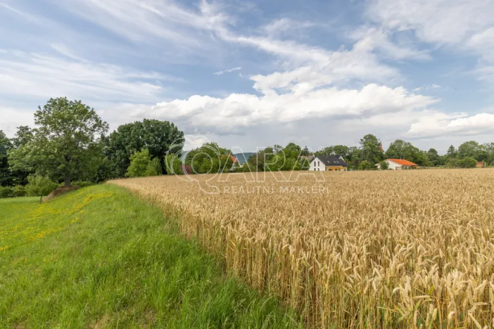 Prodej pozemku pro bydlení, Vražné, 4254 m2