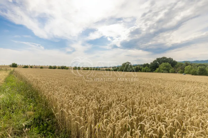 Prodej pozemku pro bydlení, Vražné, 4254 m2