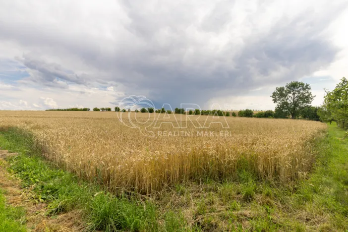 Prodej pozemku pro bydlení, Vražné, 4254 m2