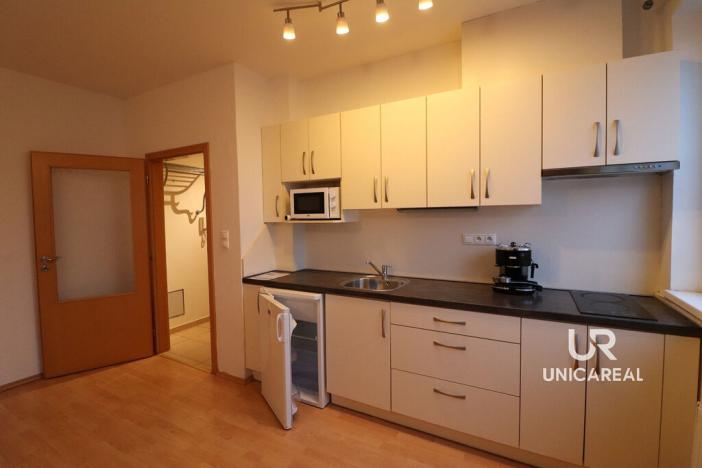 Pronájem bytu 1+kk, Brno - Husovice, Netušilova, 36 m2