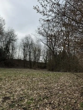 Prodej pozemku, Spálov, 12312 m2