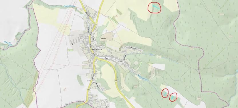 Prodej lesa, Neslovice, 2112 m2