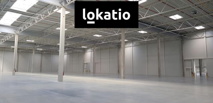 Pronájem skladu, Ostrov, 4753 m2