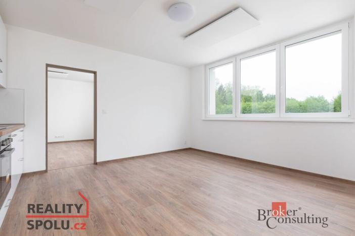 Pronájem bytu 4+kk, Bruntál, Příčná, 118 m2