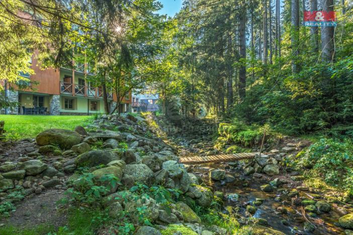 Prodej bytu 1+kk, Harrachov - Nový Svět, 32 m2