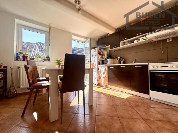 Prodej rodinného domu, Bor - Ostrov, 350 m2