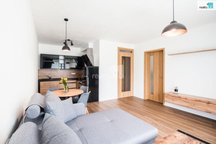 Pronájem bytu 2+kk, Plzeň - Východní Předměstí, Pallova, 46 m2
