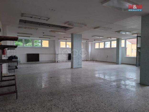 Pronájem obchodního prostoru, Čestice, 484 m2