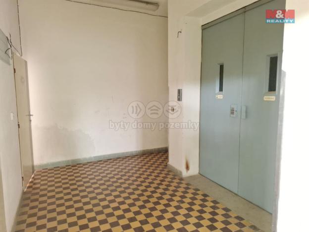 Pronájem obchodního prostoru, Čestice, 484 m2