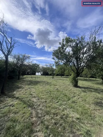 Prodej rodinného domu, Kožušice, 230 m2