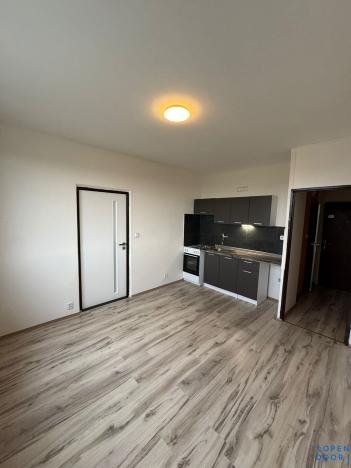Pronájem bytu 1+1, Chomutov, 17. listopadu, 35 m2