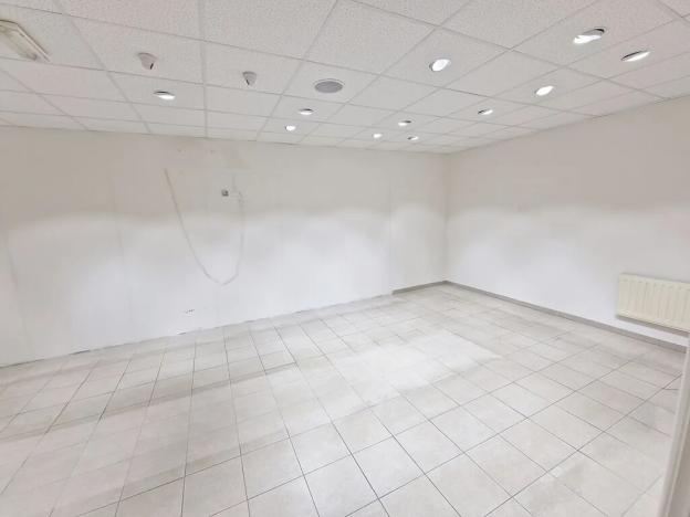 Pronájem obchodního prostoru, Praha - Libeň, Zenklova, 348 m2