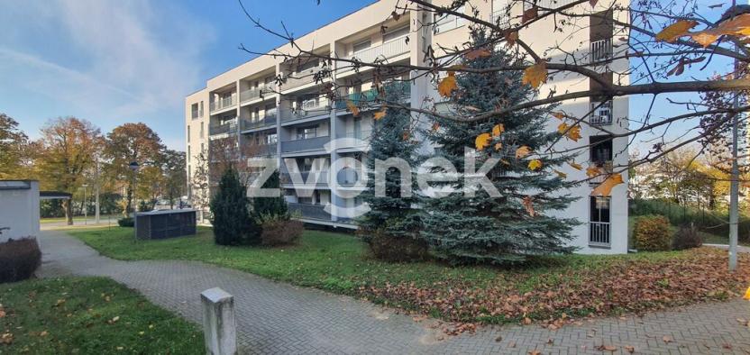 Pronájem bytu 1+kk, Zlín, Březnická, 42 m2