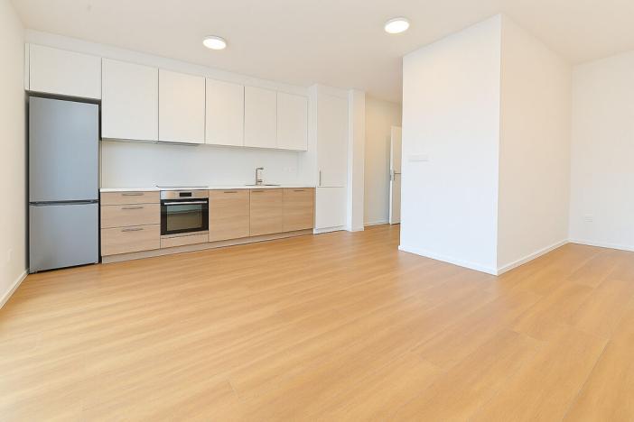Pronájem bytu 1+kk, Brno - Černovice, Mírová, 33 m2