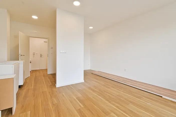 Pronájem bytu 1+kk, Brno - Černovice, Mírová, 33 m2