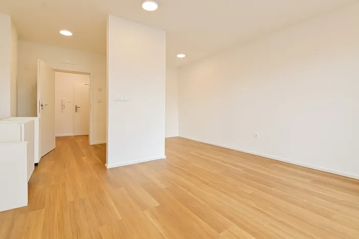 Pronájem bytu 1+kk, Brno - Černovice, Mírová, 33 m2