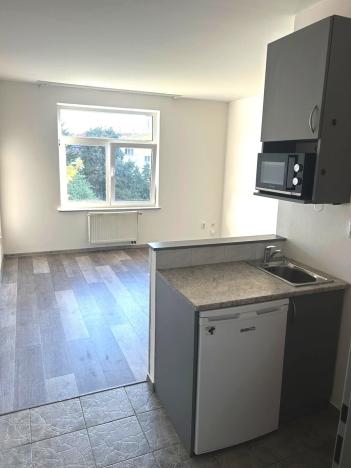 Pronájem bytu 1+kk, Praha, Konojedská, 21 m2