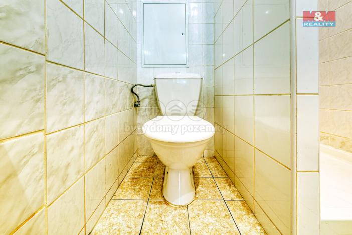 Prodej obchodního prostoru, Písek, Čechova, 53 m2