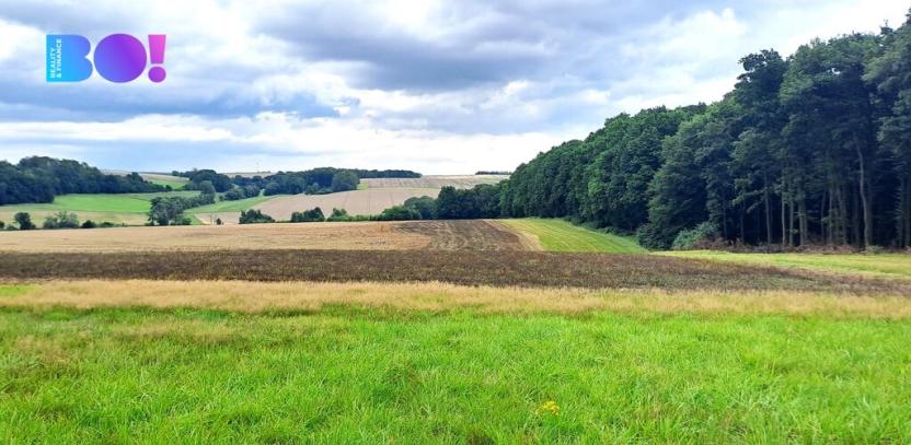 Prodej pole, Líšná, 103172 m2