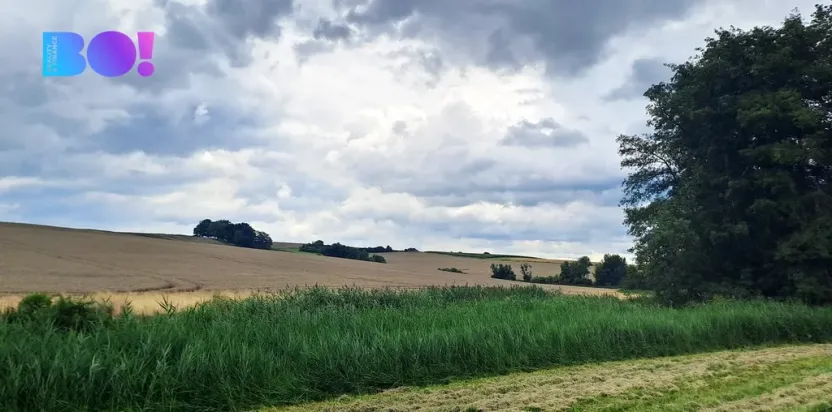 Prodej pole, Líšná, 103172 m2