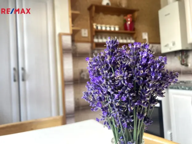 Prodej bytu 3+1, Semily, Luční, 65 m2