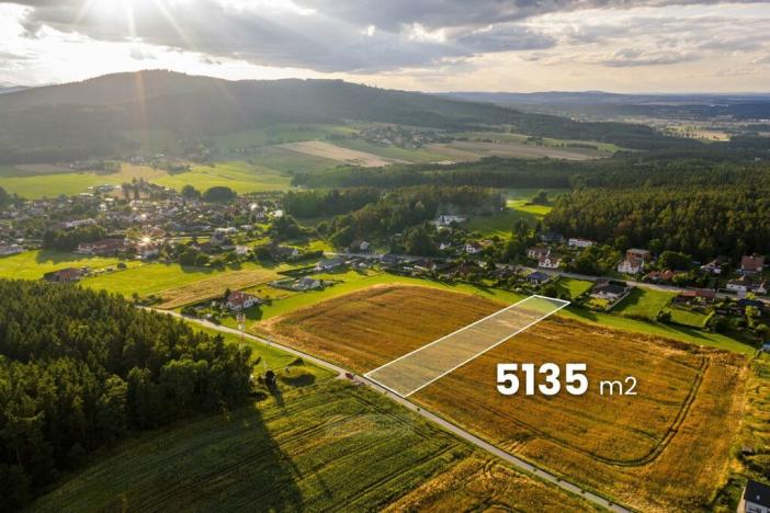 Prodej pozemku pro bydlení, Vrábče, Zastávka-Budějovická, 5135 m2