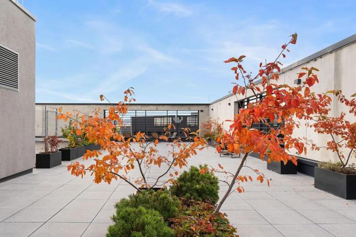 Pronájem kanceláře, Praha - Karlín, Rohanské nábřeží, 565 m2