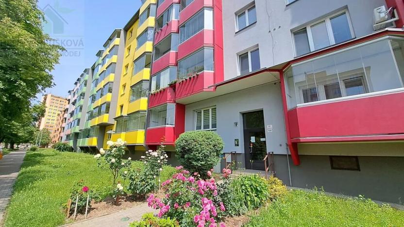 Pronájem bytu 1+kk, Ostrava, Sokolovská, 22 m2