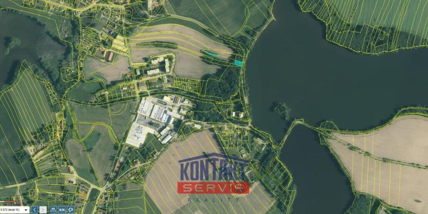 Prodej lesa, Střížovice - Vlčice, 43683 m2