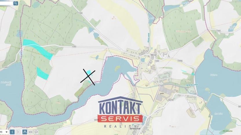 Prodej lesa, Střížovice - Vlčice, 43683 m2