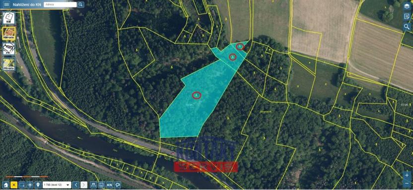 Prodej lesa, Železný Brod - Bzí, 23153 m2