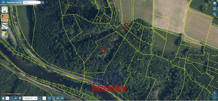 Prodej lesa, Železný Brod - Bzí, 23153 m2