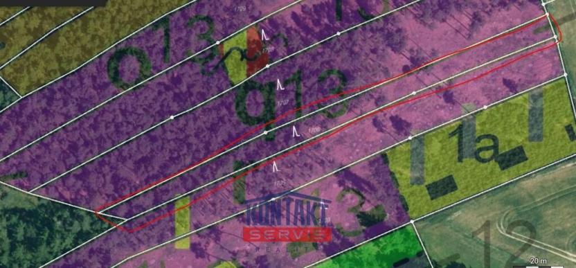 Prodej lesa, Kožlany - Hodyně, 16790 m2